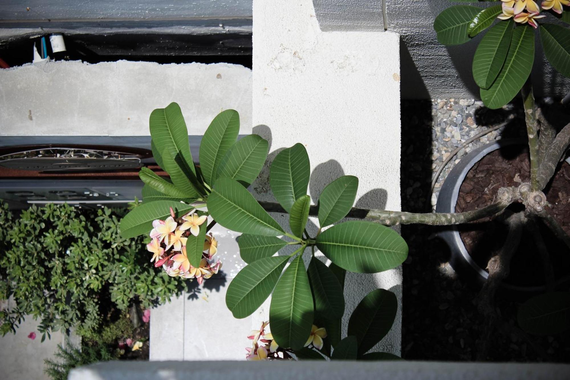 Soli Hospitale 宿里旅行舍 Hualien Dış mekan fotoğraf
